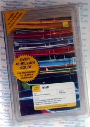 teach yourself irish
