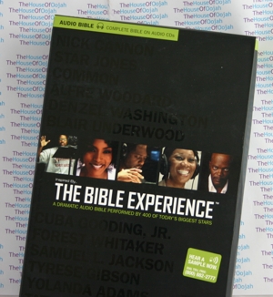 the bible experience