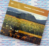 Meditation - A Complete Guide - Ian Gawler Audio Book CD