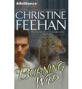 audio book audiobook