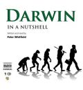 audio book audiobook