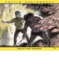 audio book audiobook