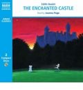 audio book audiobook