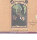 audio book audiobook