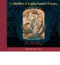 audio book audiobook