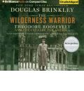 audio book audiobook