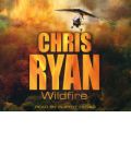audio book audiobook