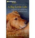 A Big Little Life by Dean R Koontz AudioBook CD