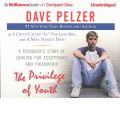 The Privilege of Youth by Dave Pelzer AudioBook CD