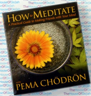 How to Meditate with Pema Chodron - Audio book NEW CD