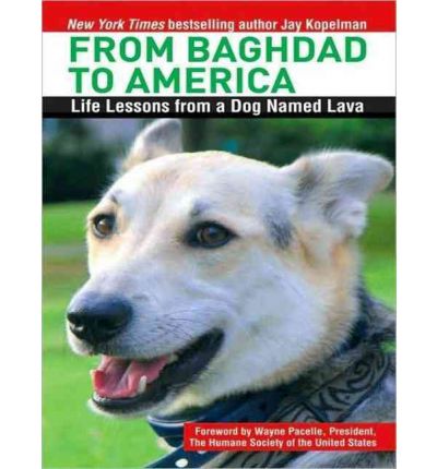 From Baghdad to America by Jay Kopelman Audio Book CD