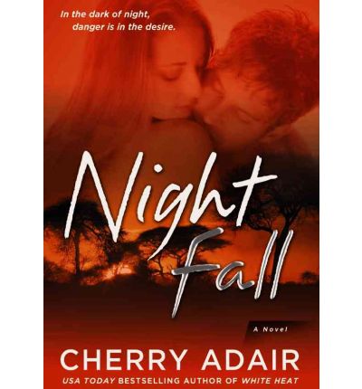 Night Fall by Cherry Adair Audio Book CD