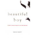 Beautiful Boy by David Sheff AudioBook CD