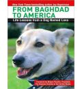 From Baghdad to America by Jay Kopelman AudioBook CD