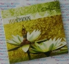 Yoga Dreaming - Pravana - AudioBook CD